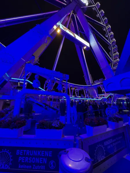Mein Riesenrad